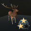 500 Stags Killed
