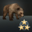 1500 Bears Killed