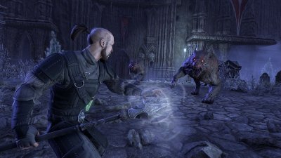 Трейлер обновления Stonethorn для The Elder Scrolls Online
