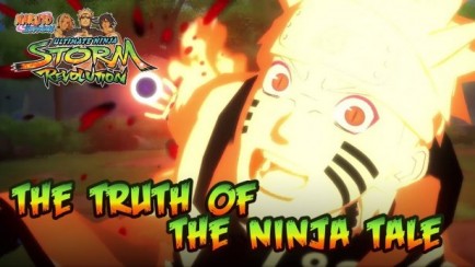 The Truth of the Ninja Tale