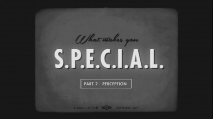 S.P.E.C.I.A.L. Video Series - Perception
