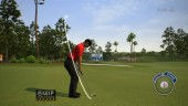 New Total Swing Control