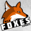 Wild Foxes eSports