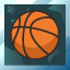 Basketball Platinum