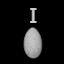 Seagull Egg Collector lvl. I