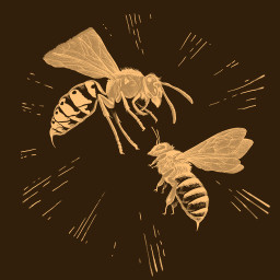 Разъяренная пчела