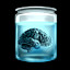 Brain in the Jar