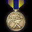 Экспедиционная медаль ВМС