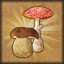 Собирательница грибов