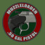 .50 Inline Muzzleloading Pistol (Silver)