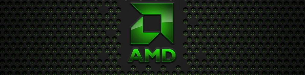 Скромный взляд в нескромное будущее AMD.