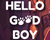 Hello Goodboy