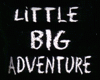 Little Big Adventure