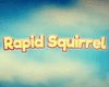 Rapid Squirrel