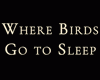Where Birds Go to Sleep