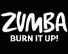 Zumba: Burn It Up