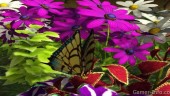 Анонс My Garden для 3DS