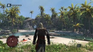 Assassin's Creed 4: Black Flag для PlayStation 4