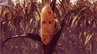 Maize – думай, как кукуруза, стань кукурузой!