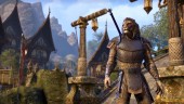 Tamriel Unlimited - Freedom and Choice in Tamriel