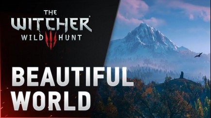 Beautiful World of The Witcher