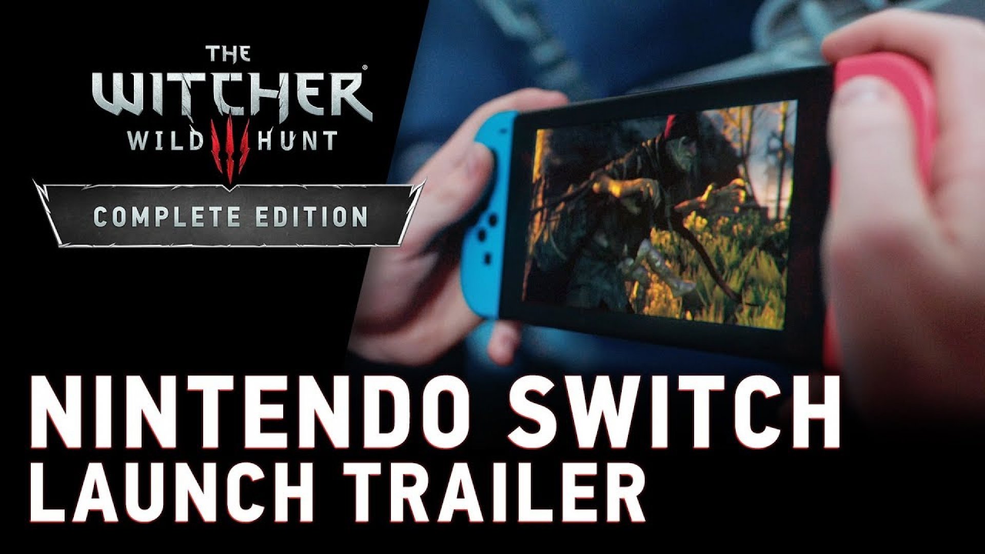 The witcher 3 nintendo switch torrent фото 90