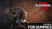 Blood Bowl for Dummies