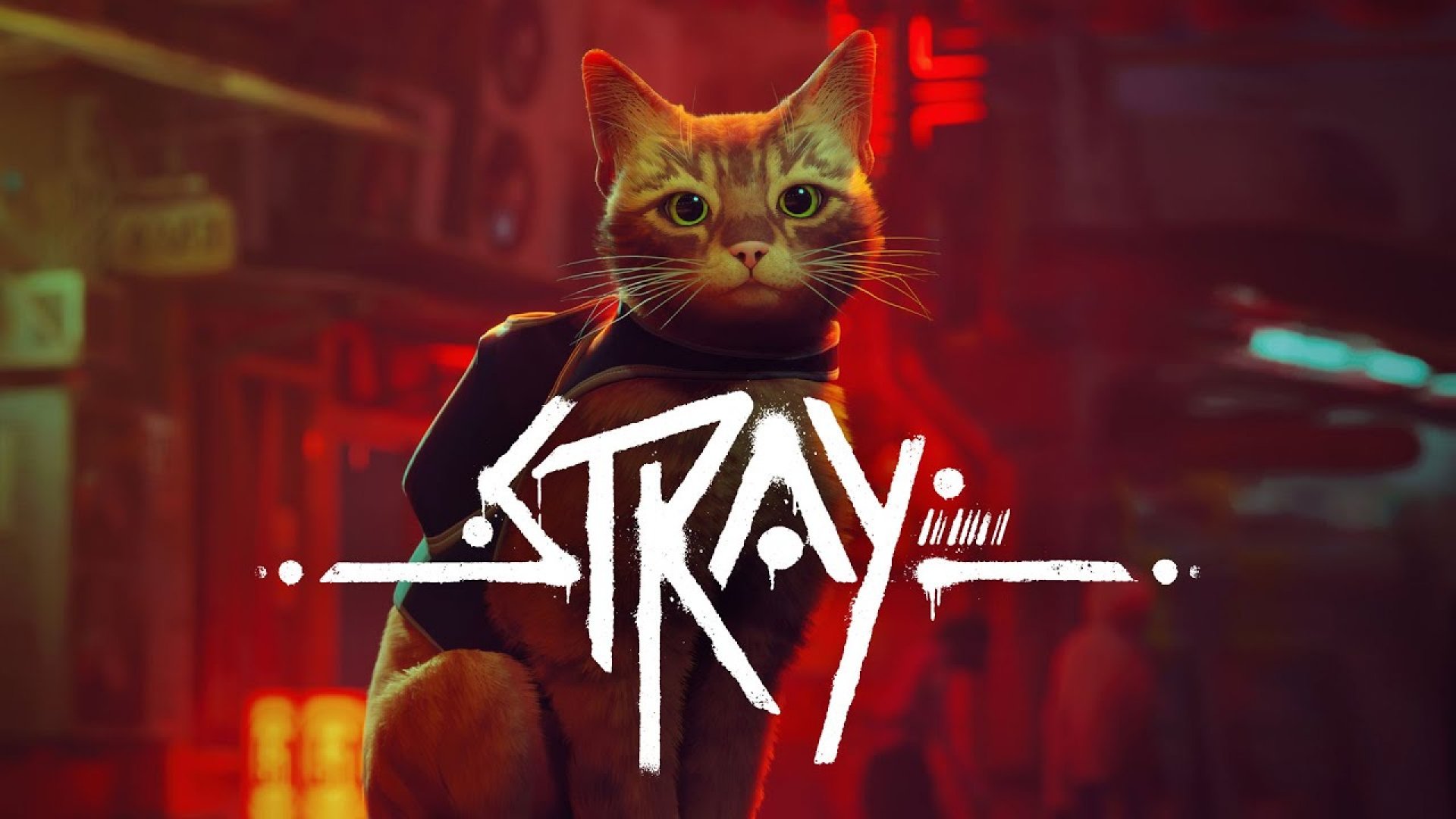 Stray - дата выхода, отзывы