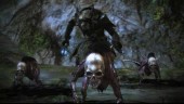 Necromancer - Bone Minions + Putrid Explosion Skills